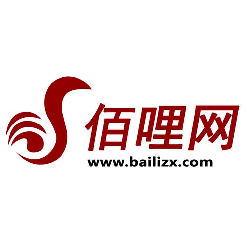上海佰哩信息技術(shù)